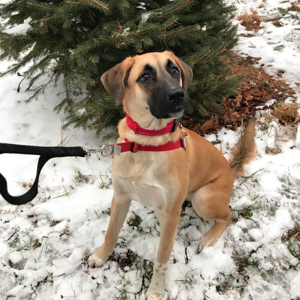 Meet your Posher, Victoria